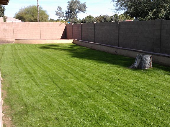 5th image of 4118 E Aster Dr