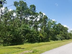 1st image of Z-439 Key Lime Boulevard