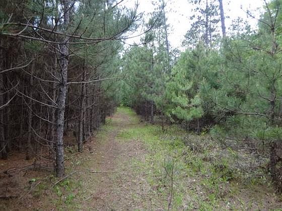 5th image of Plantation Pines Dr