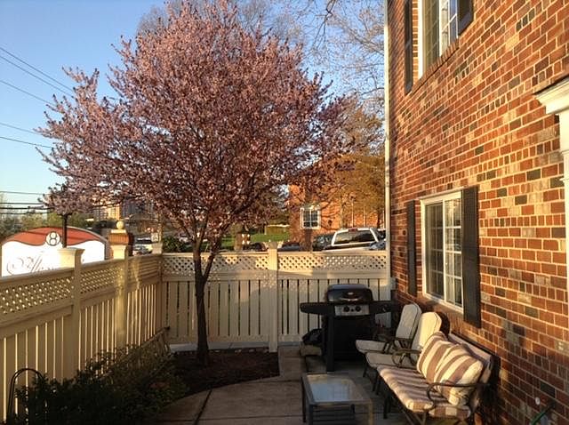 1st image of 1505 N Van Dorn St #B