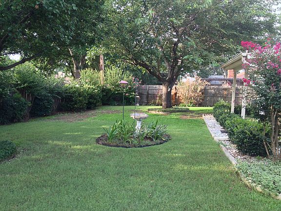 Lush backyard