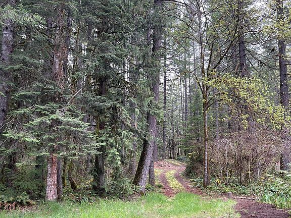 4th image of 49950 N Santiam Hwy SE