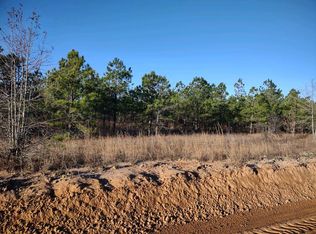 0 Currington Rd, Mauk, GA 31058