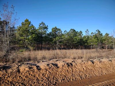 0 Currington Rd, Mauk, GA, 31058