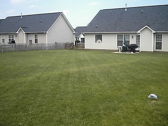  Big Backyard