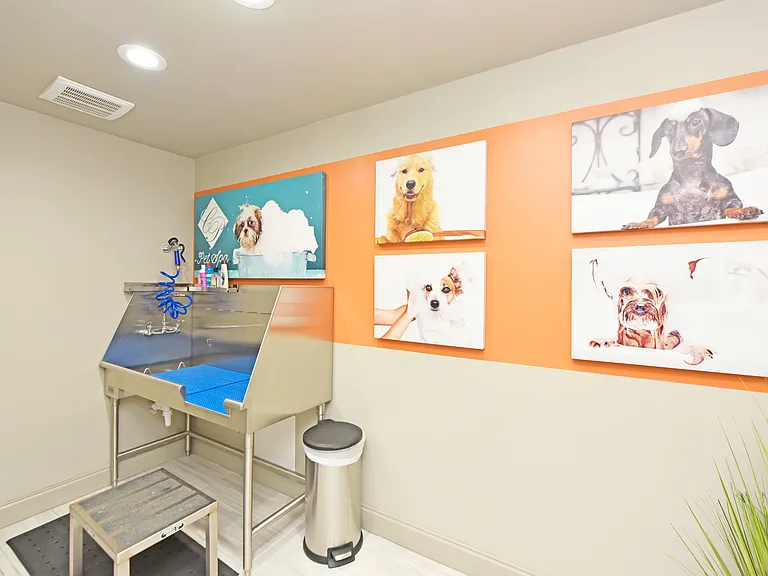 24/7 Pet Grooming Station