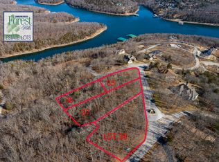 38 Waterfield Dr, Reeds Spring, MO 65737