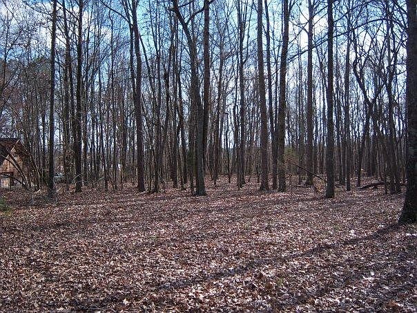 2nd image of 400425 Sequatchie Trl Lot 12