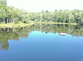 17 Gold Dan Rd UNIT 56C, Swan Lake, NY 12783