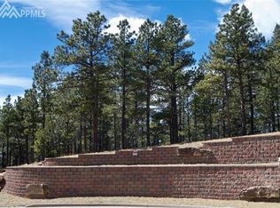 961 Spacious Skies Dr, Woodland Park, CO 80863