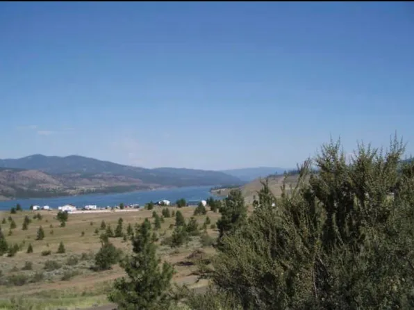 42480 N Buckhorn Dr, Davenport, WA 99122