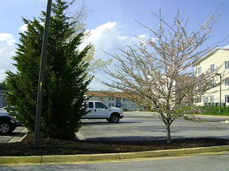 1780 Liberty Ln #C35 — Photo 7