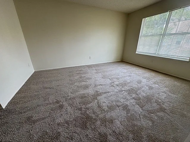 4155 Thalia Station Cir — Photo 13