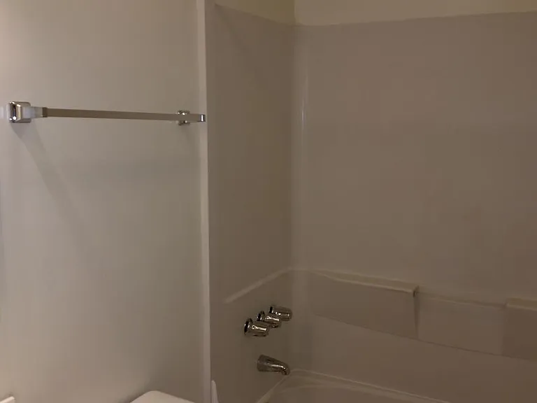 Tub and shower area of the bathroom