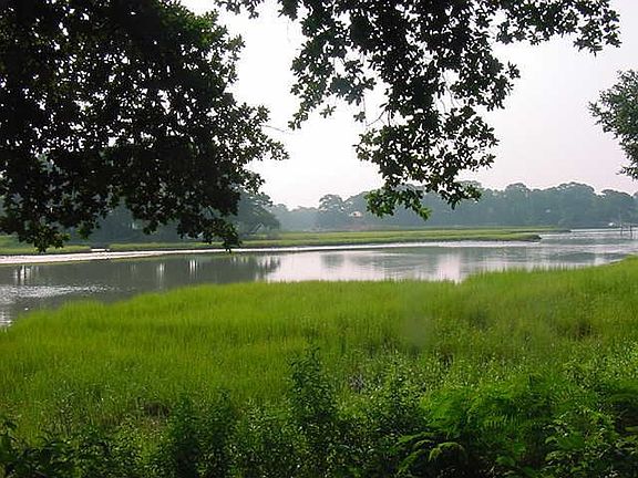 Back yard water view of Lafayette River