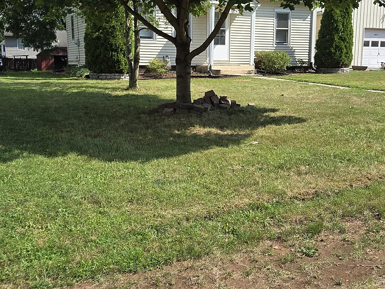 1875 Poplar Rd — Photo 5