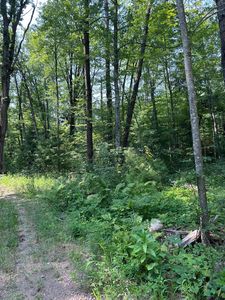 26987 Marias Way, Webster, WI, 54893