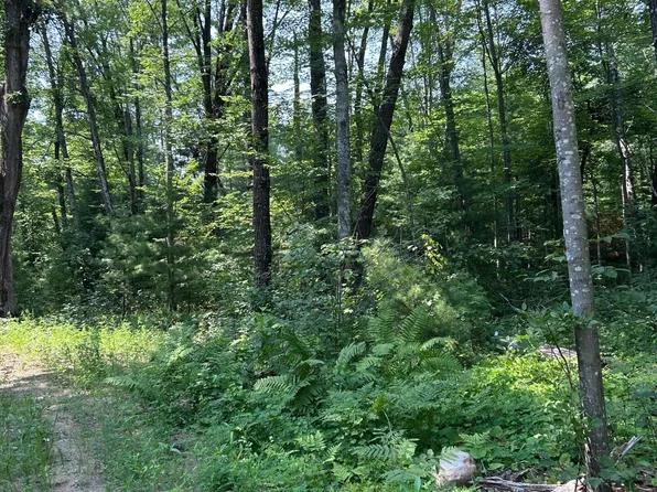 26987 Marias Way, Webster, WI 54893