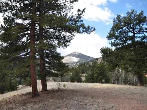 418 Copper Mountain Dr, Cripple Creek, CO 80813