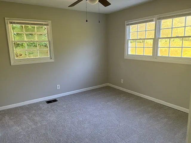 293 Flat Rock Rd — Photo 5