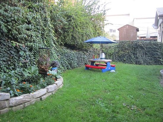 back yard