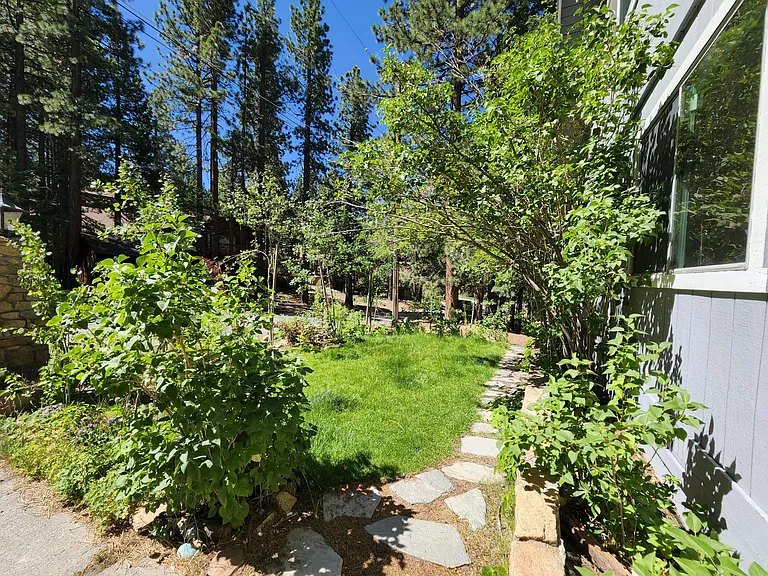 Front Yard