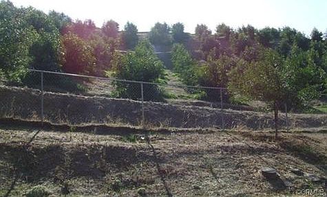 3rd image of 31119 Outer Hwy 10