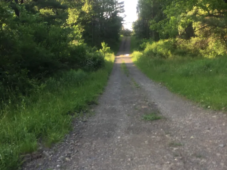 Driveway in June. Feels far away but so convenient.