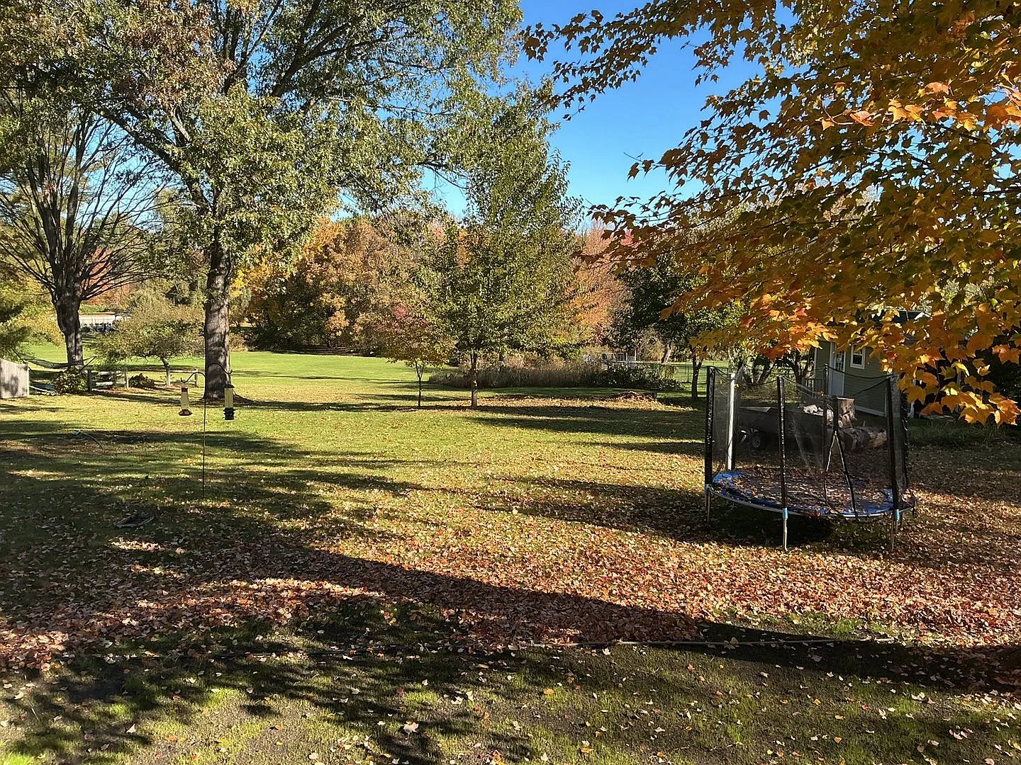 Spacious 5BR House in Sudbury — Photo 2