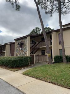 1200 Tarpon Woods Blvd APT M7, Palm Harbor, FL, 34685