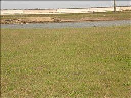 1st image of 4127 Great Blue Heron Dr