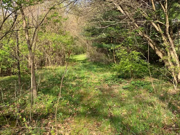 Thomson Rd, Niles, MI 49120