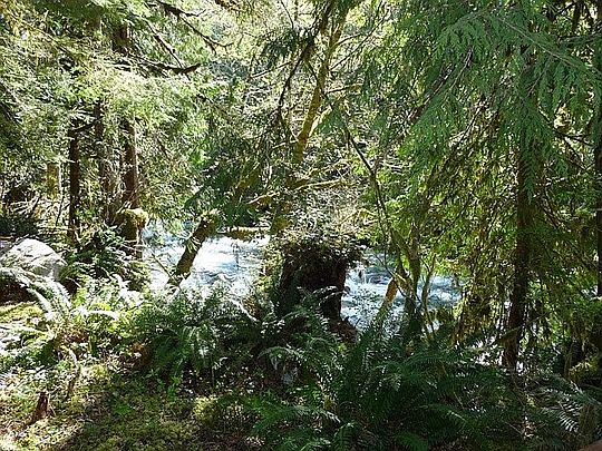 3rd image of 64158 E Cascade Dr
