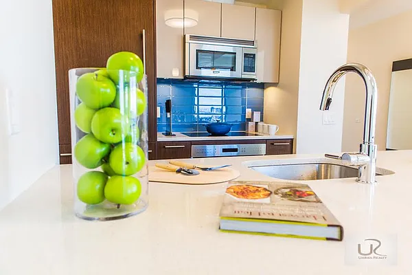 Rented by Urban Realty NYC | media 9