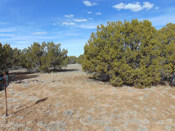 49 County Rd, Concho, AZ 85924