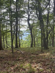 Bob Plumley Rd, Shady spring, WV, 25918