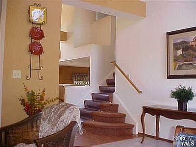 2910 Spicewood Ct