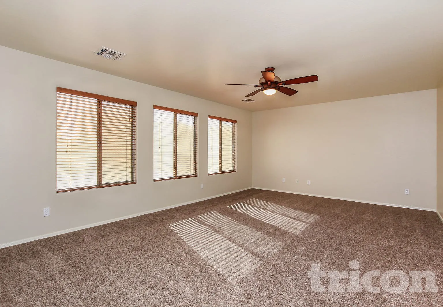 16163 W Yucatan Drive Surprise AZ — Photo 3