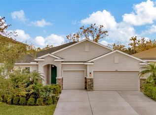 13431 Canopy Creek Dr, Tampa, FL 33625