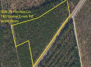 D08-79 Goose Creek Road, Bayboro, NC 28515