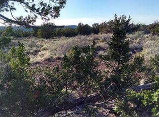 4290 Bunkhouse Rd, Snowflake, AZ 85937