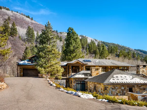 96 Mountain Laurel Ct, Aspen, CO