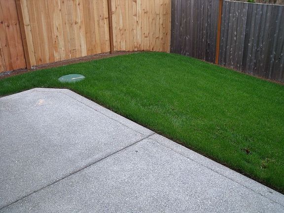Half of the backyard