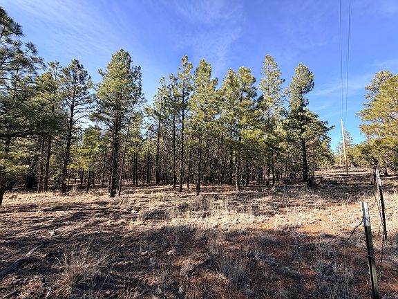 2nd image of 2397 Wigeon Way