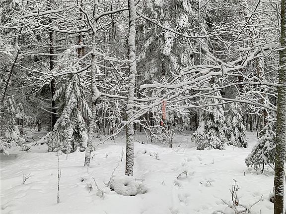 4th image of 0 Brandt Road