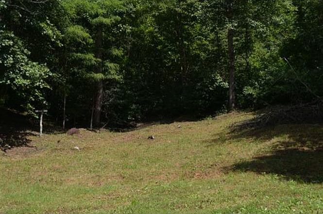 2nd image of 783 Grassy Creek Rd
