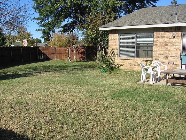 Back Yard