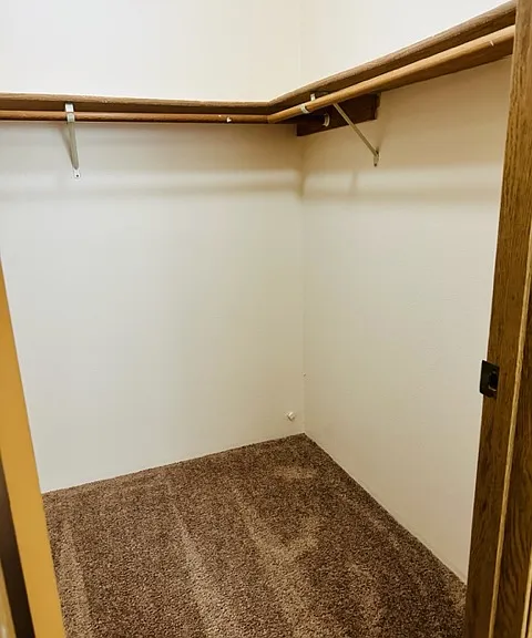 Walk-in closet in primary bedroom