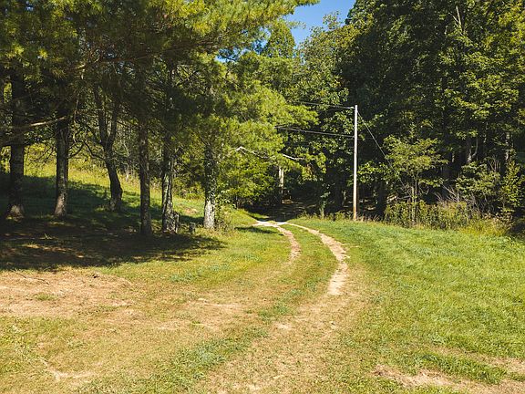 2nd image of 10568 Bottom Creek Rd