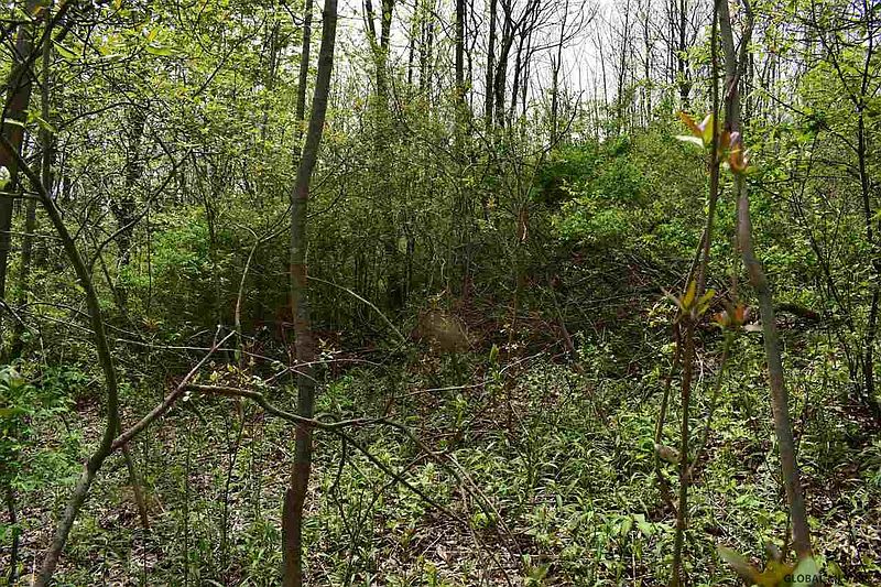3rd image of 0 STATE ROUTE 145